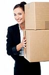 Female Executive Holding Cartons Stock Photo