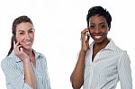 Female Executives Using A Mobile Phone Stock Photo