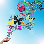 female Hand Releasing Butterflies Stock Photo