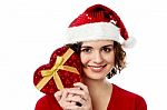 Female Santa With Gift Box Stock Photo