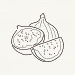 Fig Stock Photo