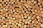 Firewood Stock Photo