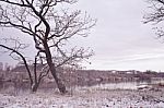 First Snow On The Riverbank. Autumn Morning Landscape Stock Photo