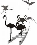 Flamingos On The Ladder In Grayscale Stock Photo