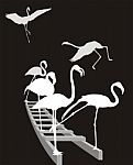 Flamingos On The Ladder Inverse In Grayscale Stock Photo