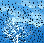 Flock Of Crows Over White Tree Stock Photo