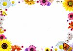 Floral Frame Stock Photo