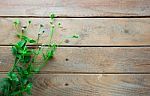 Flower And Wood Background Stock Photo