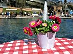 Flowers On A Table Next To A Fountain Stock Photo