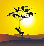 Flying Swans With Boys And Sunset Stock Photo