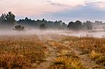 Foggy Dirt Road At Summer Morning Riverbank. Misty Dawn At Summe Stock Photo