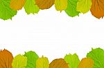 Frame From Green Leaves On White Background For Isolated, Frame By Green Leaf, Orange Leaf And Yellow Leaf Stock Photo