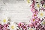 Frame Of  White And Pink Flower On The White Wooden Table Horizontal Stock Photo