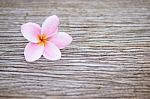 Frangipani Flower On Wooden Table Stock Photo