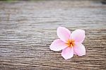 Frangipani Flower On Wooden Table Stock Photo