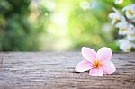 Frangipani Flower On Wooden Table Stock Photo