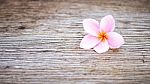 Frangipani Flower On Wooden Table Stock Photo