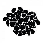 Frangipani Silhouettes For Design Stock Photo