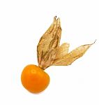 Fresh Cape Goosebery, Physalis, On White Background Stock Photo