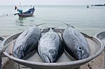 Fresh Fish From Sea Market In Thailand Stock Photo