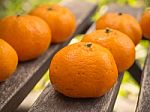 Fresh Orange Stock Photo