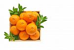 Fresh Orange Citrus Fruit In Wooden Box Stock Photo