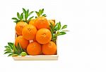 Fresh Orange Citrus Fruit In Wooden Box Stock Photo