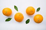 Fresh Orange Citrus Fruit On White Background Stock Photo