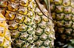 Fresh Pineapple Stock Photo