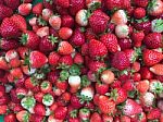 Fresh Red Strawberry Fruits Background Stock Photo