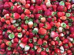 Fresh Red Strawberry Fruits Background Stock Photo