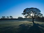 Frosty Morning Stock Photo