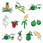 Fruit And Vegetable  Illustration Cartoon Stock Photo