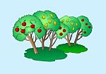 Fruit Trees Illustration Isolated Stock Photo