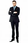 Full Length Image Of A Professional Business Executive Stock Photo