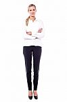 Full Length Portrait Of A Business Professional Stock Photo