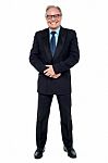 Full Length Portrait Of A Senior Businessman Stock Photo