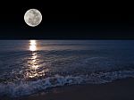 Full Moon Stock Photo