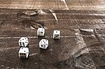 Gambling Dice On Wooden Background Stock Photo