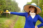 Gardener Girl Picking Fresh Orange Stock Photo