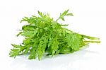 Garland Chrysanthemum Isolated On The White Background Stock Photo