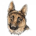 German Shepherd Hand Drawn  Stock Photo