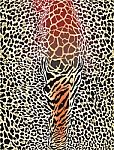 Giraffe And Leopard Pattern Stock Photo