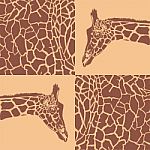 Giraffe Patterns Beige And Brown Stock Photo