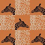 Giraffe Patterns Black And White With Brown Stock Photo