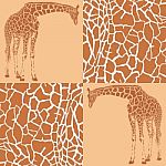 Giraffe Patterns For Wallpaper Stock Photo