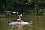 Girl And Schnauzer On Paddleaboard Stock Photo