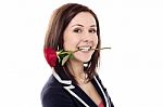 Girl Holding Rose Between Her Teeth Stock Photo