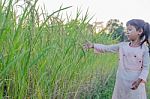 Girl Standing In The Field Of Rubber Happy Stock Photo