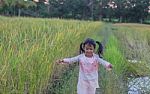 Girl Standing In The Field Of Rubber Happy Stock Photo